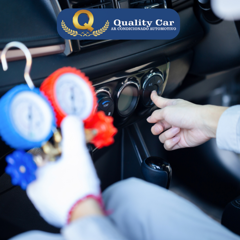 Quality Car (10)