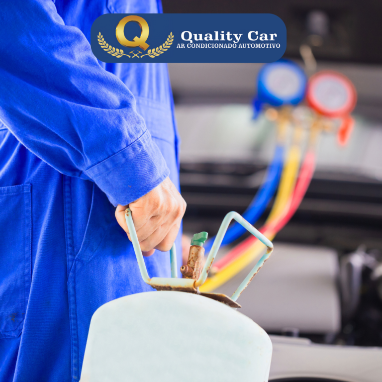 Quality Car (2)