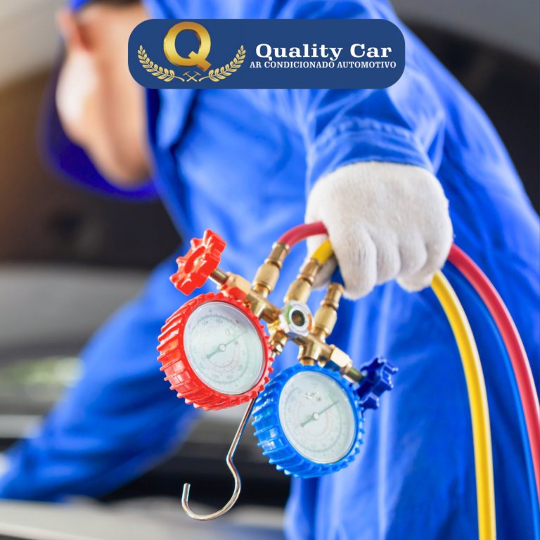 Quality Car (4)